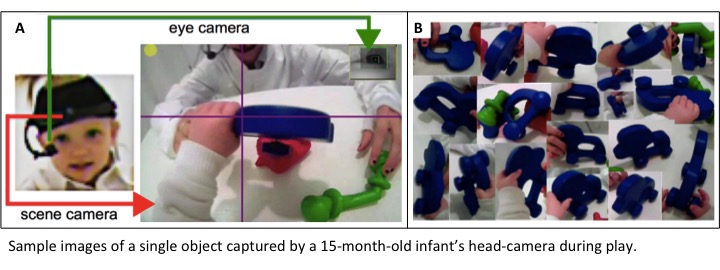 Fig for visual abstract-1